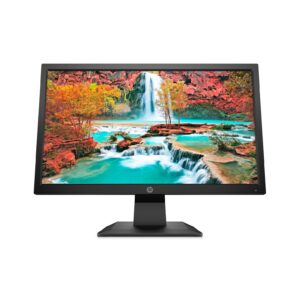HP P204v 19.5 Inch HD LED Monitor (HDMI, VGA)